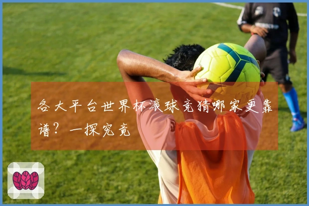 各大平台世界杯滚球竞猜哪家更靠谱？一探究竟