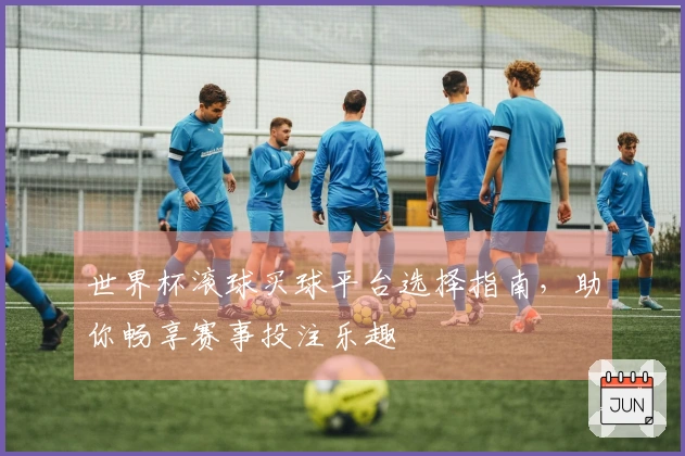 世界杯滚球买球平台选择指南，助你畅享赛事投注乐趣