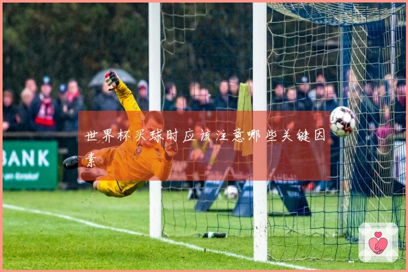 世界杯买球时应该注意哪些关键因素