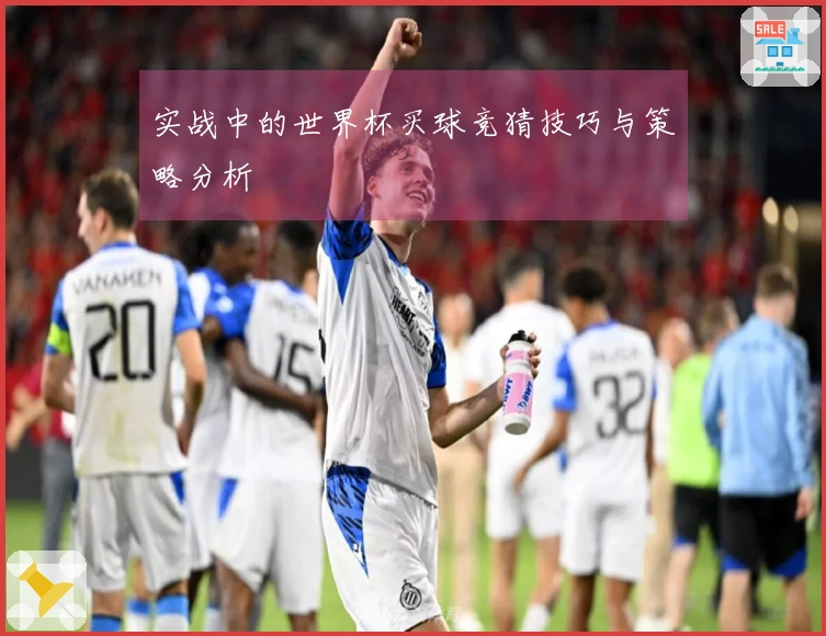 实战中的世界杯买球竞猜技巧与策略分析
