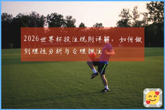 2026世界杯投注规则详解，如何做到理性分析与合理押注