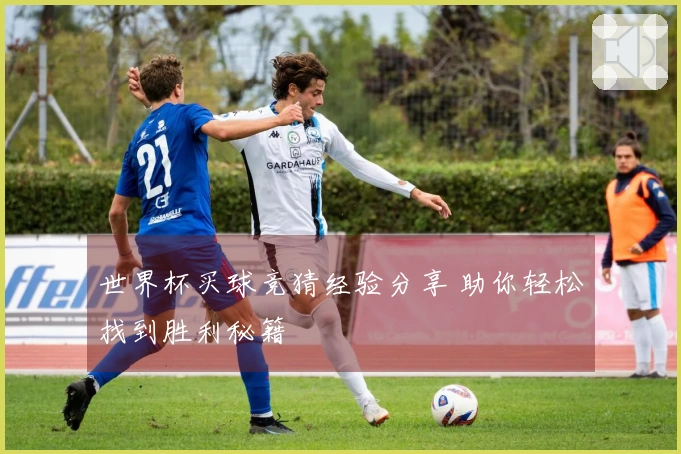 世界杯买球竞猜经验分享 助你轻松找到胜利秘籍