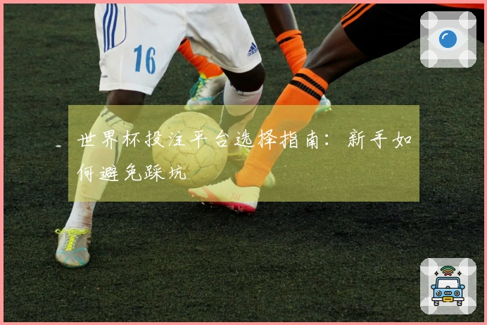 世界杯投注平台选择指南：新手如何避免踩坑