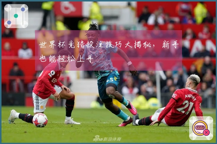 世界杯竞猜投注技巧大揭秘，新手也能轻松上手