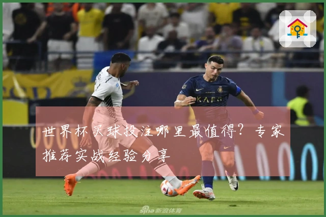 世界杯买球投注哪里最值得？专家推荐实战经验分享