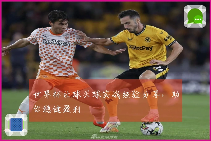 世界杯让球买球实战经验分享，助你稳健盈利