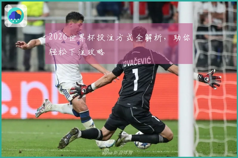 2026世界杯投注方式全解析，助你轻松下注攻略