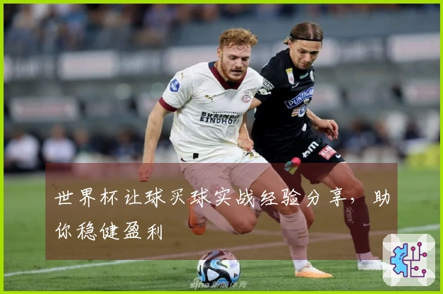 世界杯让球买球实战经验分享，助你稳健盈利