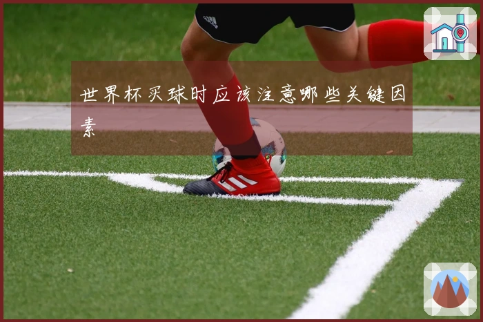 世界杯买球时应该注意哪些关键因素