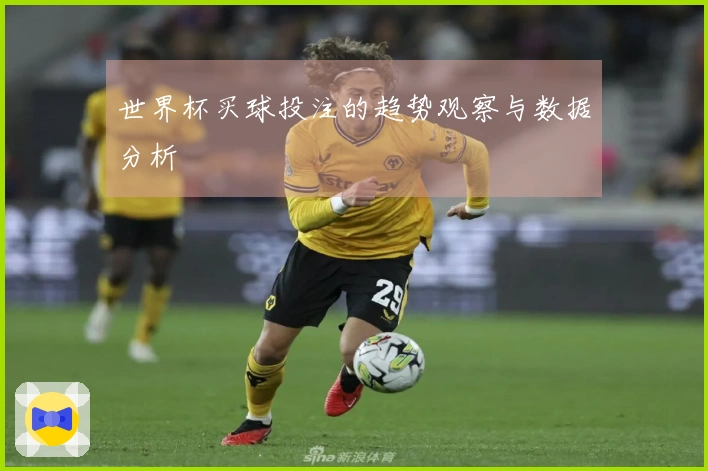 世界杯买球投注的趋势观察与数据分析