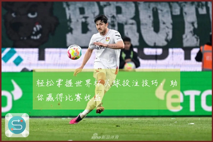 轻松掌握世界杯买球投注技巧，助你赢得比赛收益