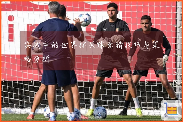 实战中的世界杯买球竞猜技巧与策略分析