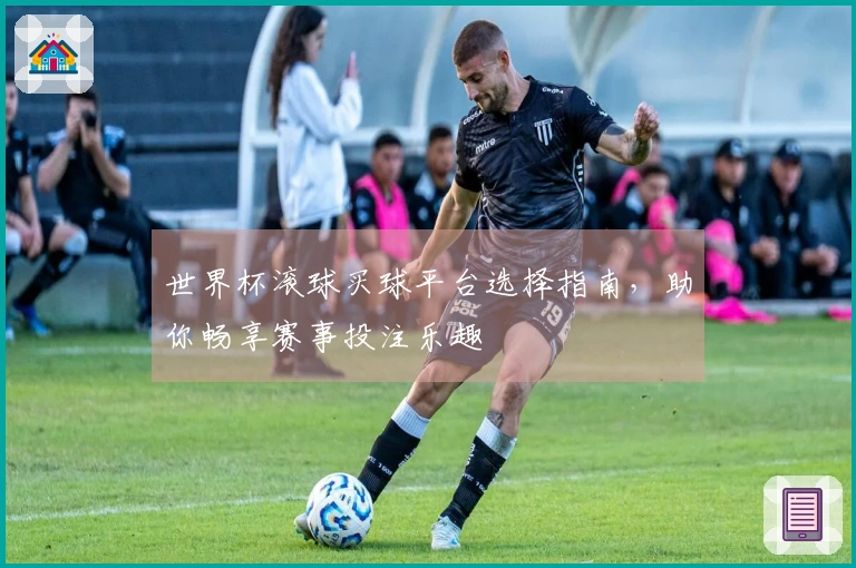 世界杯滚球买球平台选择指南，助你畅享赛事投注乐趣