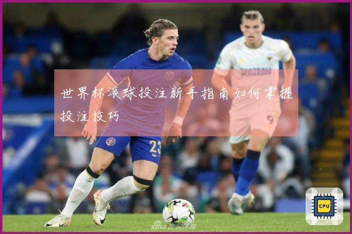 世界杯滚球投注新手指南如何掌握投注技巧